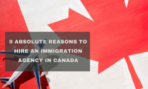 9 Absolute reasons to hire an immigration agency in Canada